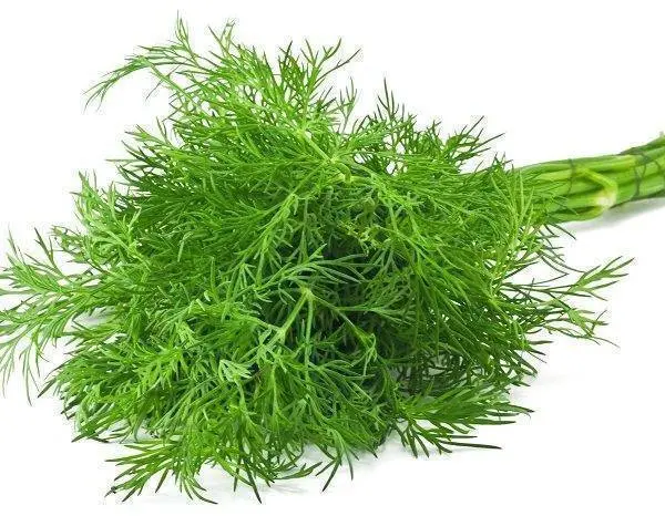Dill Seed West Australia