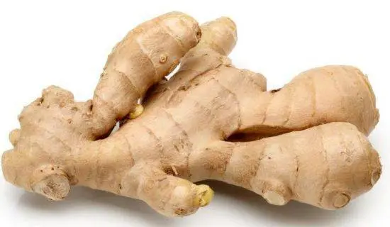 Ginger Eastern Cochin
