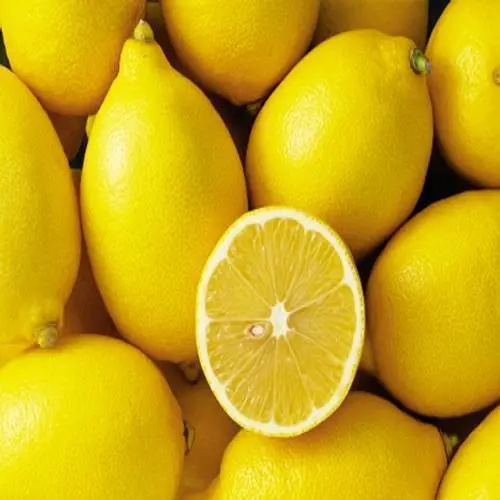 Lemon Eucalyptus Scents