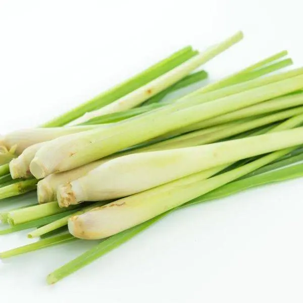 Lemongrass East Nepal