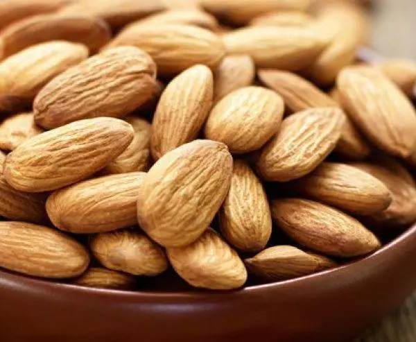 Pure Sweet Almond Oil